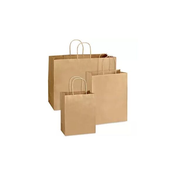 Kraft Paper Bag 5.5 x 3.75 x 8.37