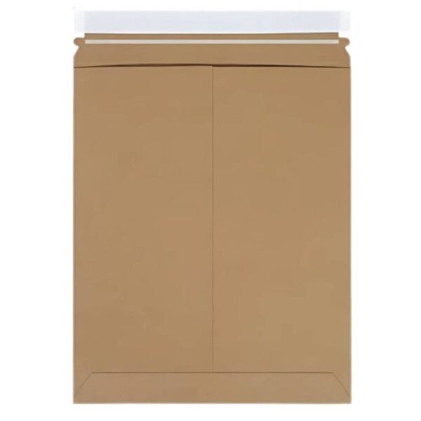 kraft_mailer_ev_1 Mailer Envelopes 12L X 10W Inch